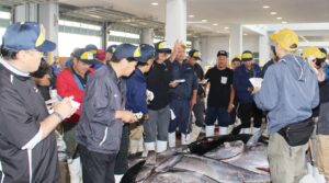 塩竈市魚市場を支える優れた目利き みなと塩釜魚市場